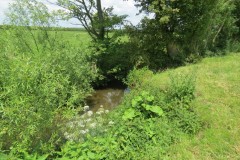 34.-Upstream-from-Bere-Regis-Accommodation-Bridge-East