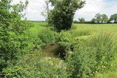 35.-Upstream-from-Bere-Regis-Accommodation-Bridge-East