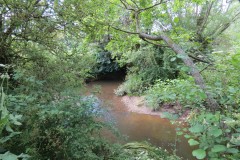 40.-Downstream-from-Wellenge-bridge