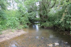 42.-Downstream-from-Wellenge-bridge