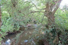 43.-Downstream-from-Wellenge-bridge