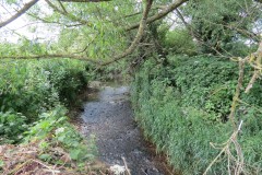 44.-Downstream-from-Wellenge-bridge-1