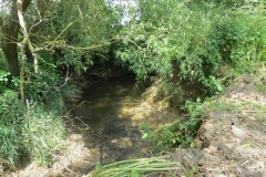 44.-Downstream-from-Wellenge-bridge-2