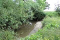 44.-Downstream-from-Wellenge-bridge-3