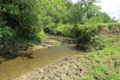 44.-Downstream-from-Wellenge-bridge-4