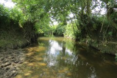 45.-Downstream-from-Wellenge-bridge-1