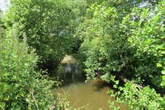45.-Downstream-from-Wellenge-bridge-2