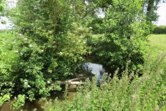 45.-Downstream-from-Wellenge-bridge-3