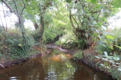 6.-Upstream-from-Broad-Bridge-5