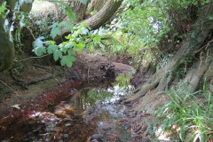 7.-Downstream-from-Bere-Mill-Footbridge-West