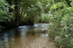 4.-Upstream-View-from-Wyke-Lane-Bridge