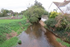 11.-Looking-downstream-from-Cannington-Bridge