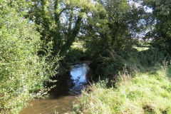 IMG_1502
