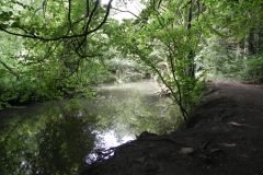 103.-Looking-downstream-from-Wadbury-Valley-ROW-Footbridge-4017