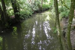 104.-Looking-upstream-from-Wadbury-Valley-ROW-Footbridge-4017
