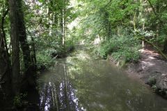 105.-Upstream-from-Wadbury-Valley-ROW-Footbridge-4017