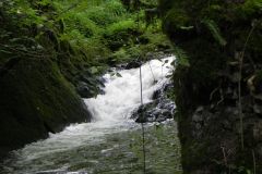 115.-Weir-By-Fussells-Ironworks
