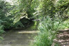 123.-Upstream-from-Fussells-Ironworks