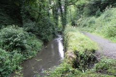124.-Wadbury-Bottom