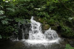129-Whatley-Outfall