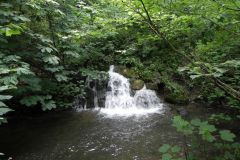 130-Whatley-Outfall