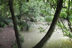 86.-Forbury-Bottom-and-Mells-Stream-confluence