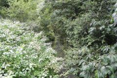 86.Looking-upstream-from-Great-Elm-Bridge