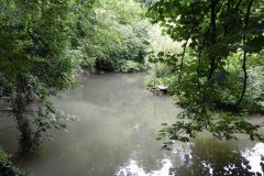 87.-Forbury-Bottom-and-Mells-Stream-confluence