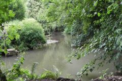 91.-Looking-downstream-from-Forbury-Bottom-confluence
