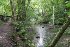 94.-Upstream-from-Fordbury-Bottom