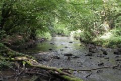 95.-Upstream-from-Fordbury-Bottom
