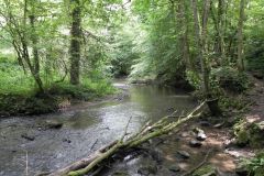 96.-Upstream-from-Fordbury-Bottom