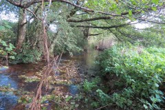 14.-Upstream-from-Ebsley-Farm-Bridge-3