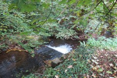19.-Weir-downstream-from-Peartwater-Road-Bridge-1