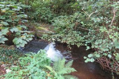 19.-Weir-downstream-from-Peartwater-Road-Bridge-2