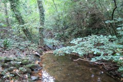 2.-Downstream-from-Hawkridge-Reservoir-1