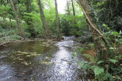 2.-Downstream-from-Hawkridge-Reservoir-3