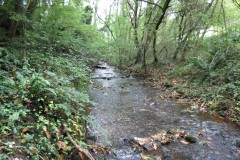 2.-Downstream-from-Hawkridge-Reservoir-4