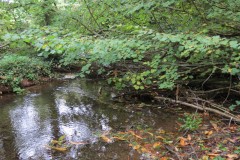 2.-Upstream-from-Ebsley-Cottage-Bridge-2