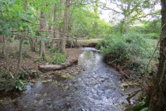 21.-Downstream-from-Peartwater-11
