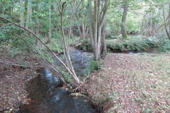 21.-Downstream-from-Peartwater-12