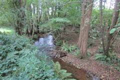 21.-Downstream-from-Peartwater-13