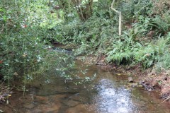 21.-Downstream-from-Peartwater-3