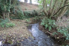 21.-Downstream-from-Peartwater-5