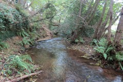 21.-Downstream-from-Peartwater-6