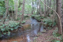 22.-Upstream-from-Peart-Hall-2