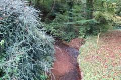 4a.-Looking-upstream-from-Ebsley-Cottage-bridge
