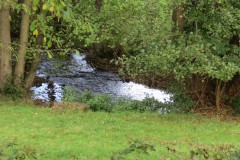 9.-Upstream-from-Ebsley-Farm-Bridge-1