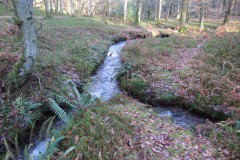 E. Hodder's Combe
