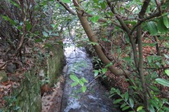 10.-Looking-downstream-from-the-Round-House-Footbridge